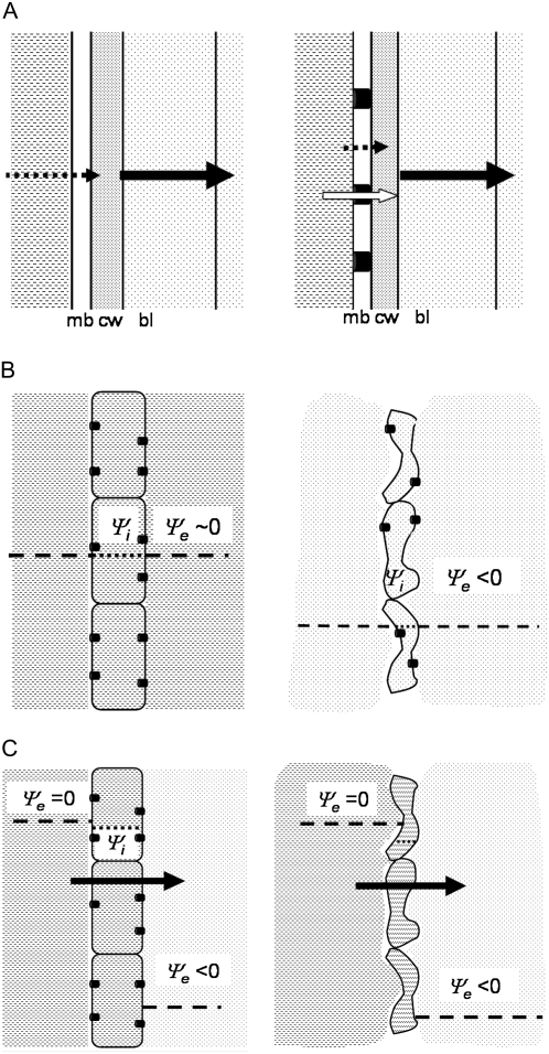 Figure 8.