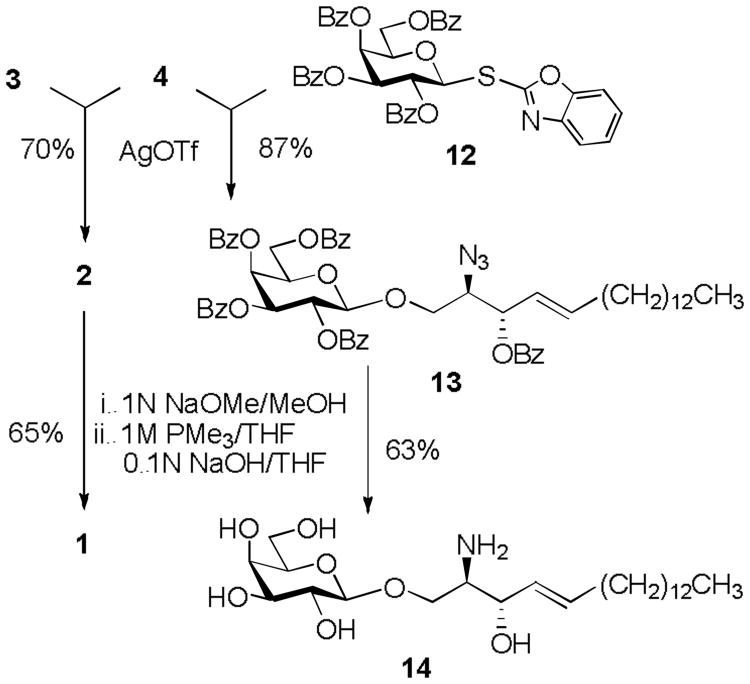 Scheme 4