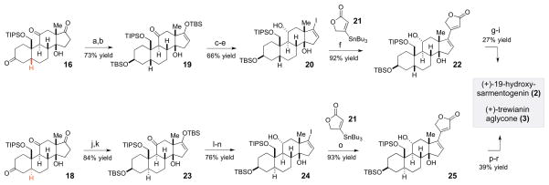 Scheme 5