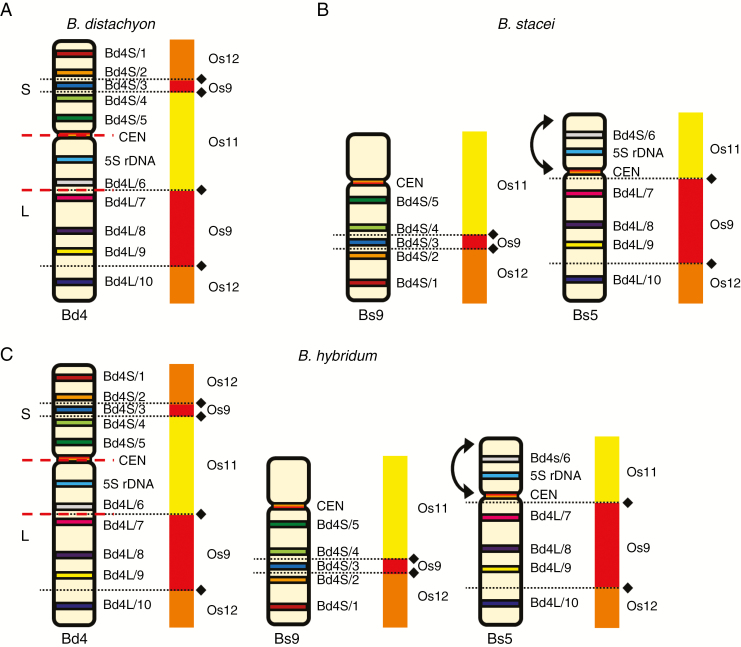 Fig. 7.