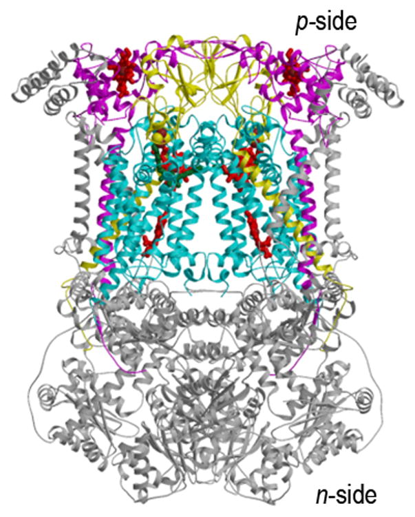 Fig. 1