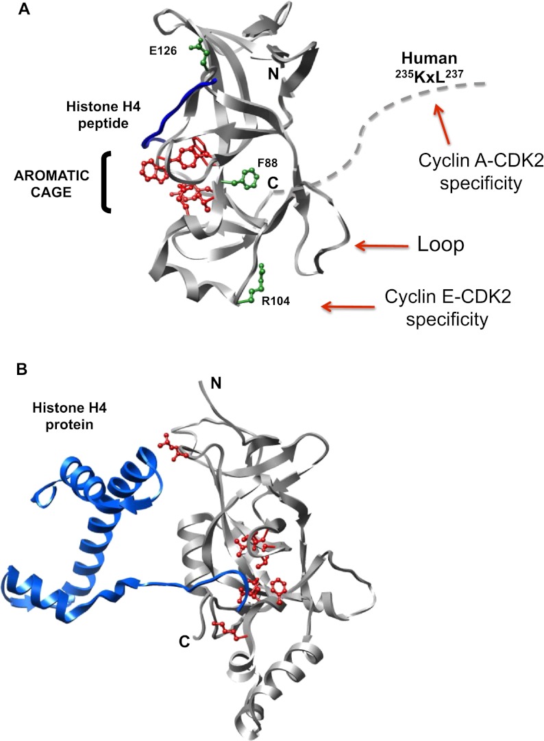 Figure 7.