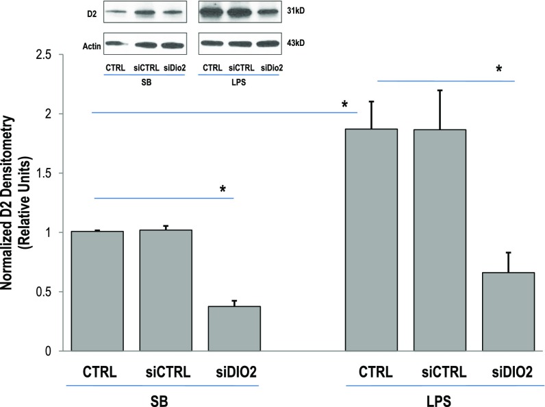 Figure 4A.