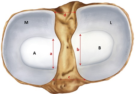 FIG. 1.