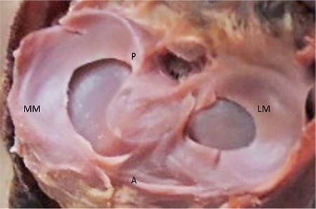 FIG. 7.