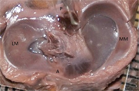 FIG. 5.