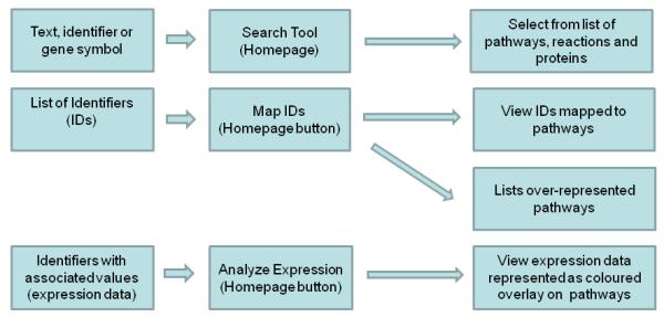 Figure 1a