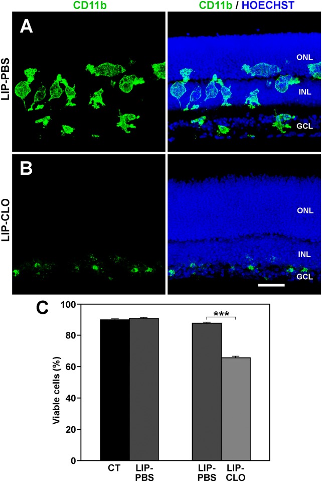 Fig 8