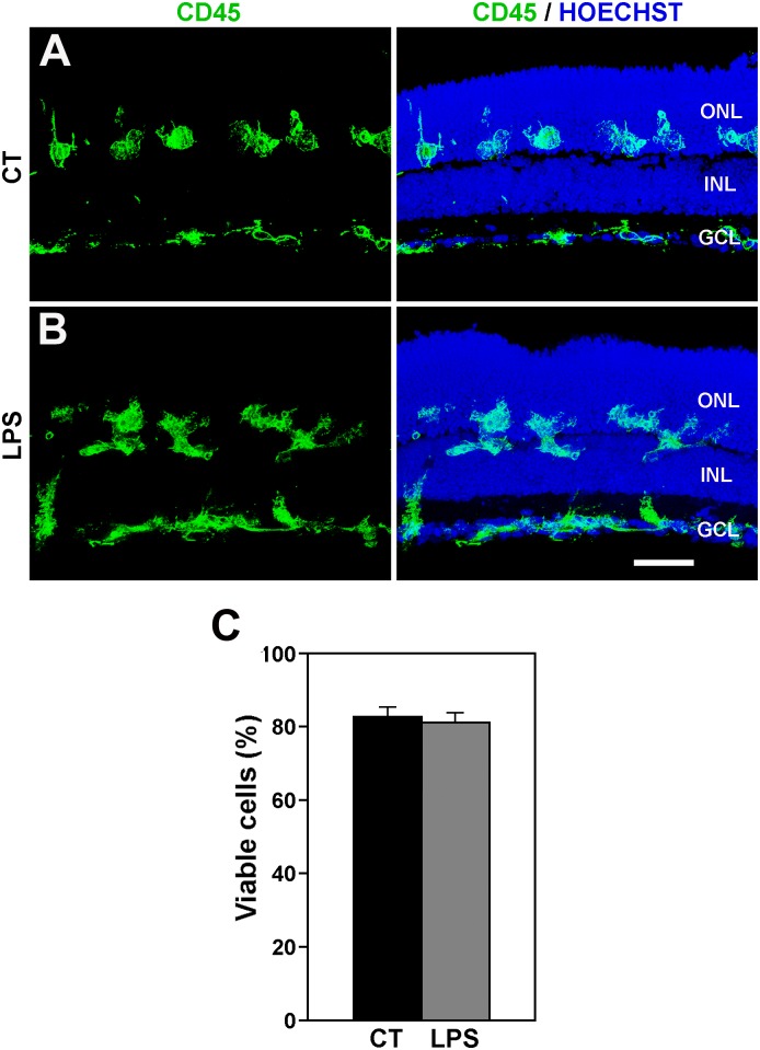 Fig 6