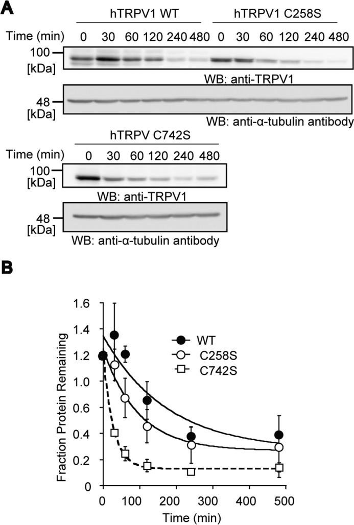 FIGURE 7.