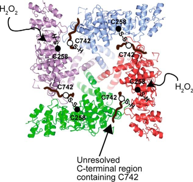 FIGURE 10.