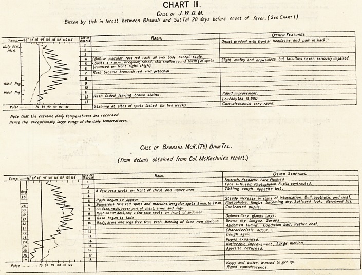 CHART III.