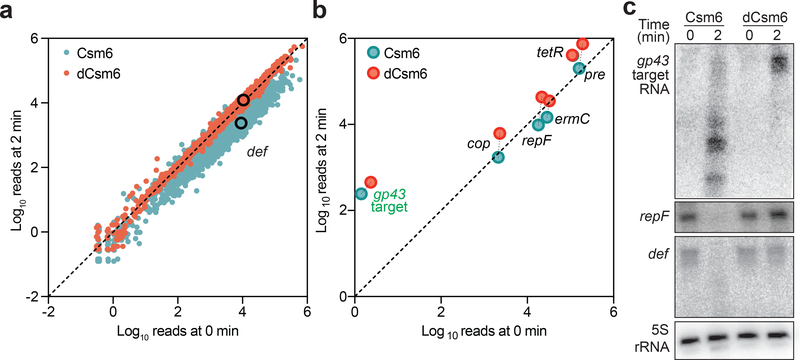 Figure 3 –