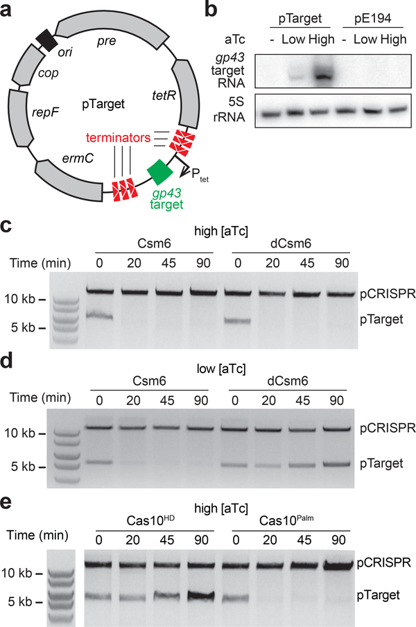 Figure 2 –