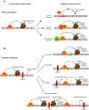 Fig. 2