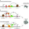 Fig. 1