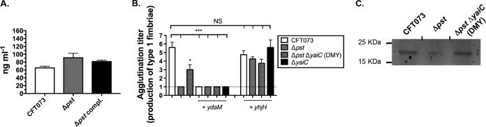 FIG 5