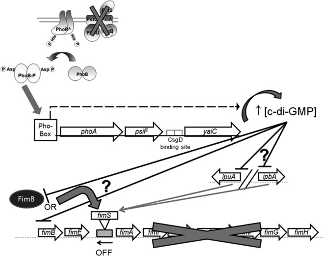 FIG 6