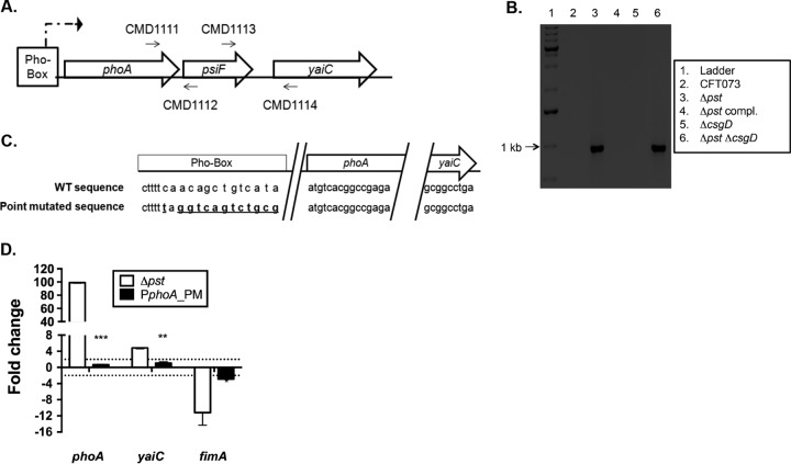 FIG 4