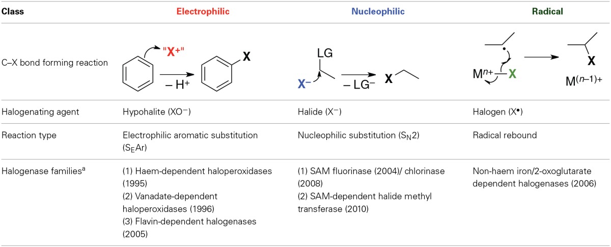 graphic file with name fchem-02-00098-i0001.jpg