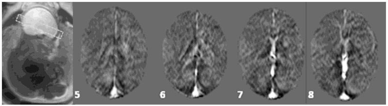 Figure 5: