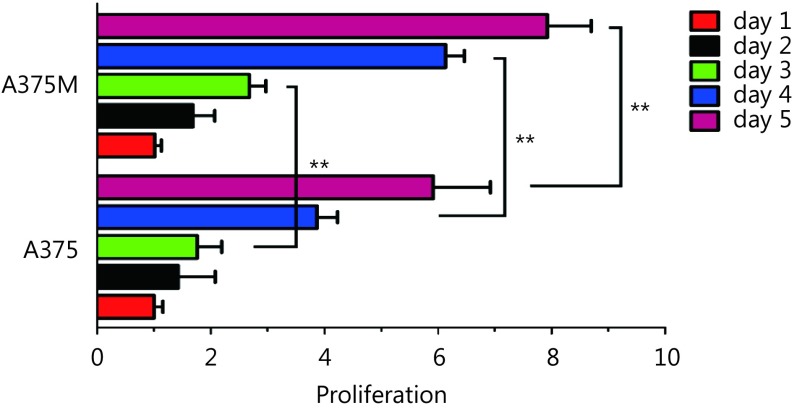 Data are mean ± s.d. (<italic>n </italic>= 3 - 5); **, <italic>P</italic> &lt; 0.01, determined by one-tailed unpaired <italic>t</italic>-test.