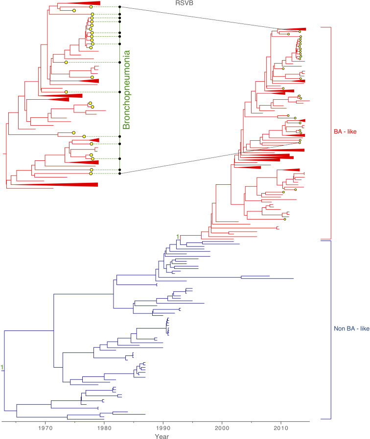 Fig. 2.