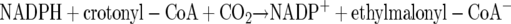 graphic file with name M13.gif