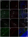 Extended Data Figure 1