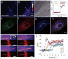 Extended Data Figure 3