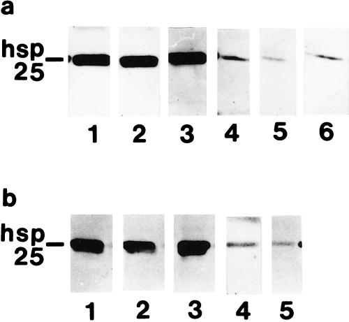 Fig 1.