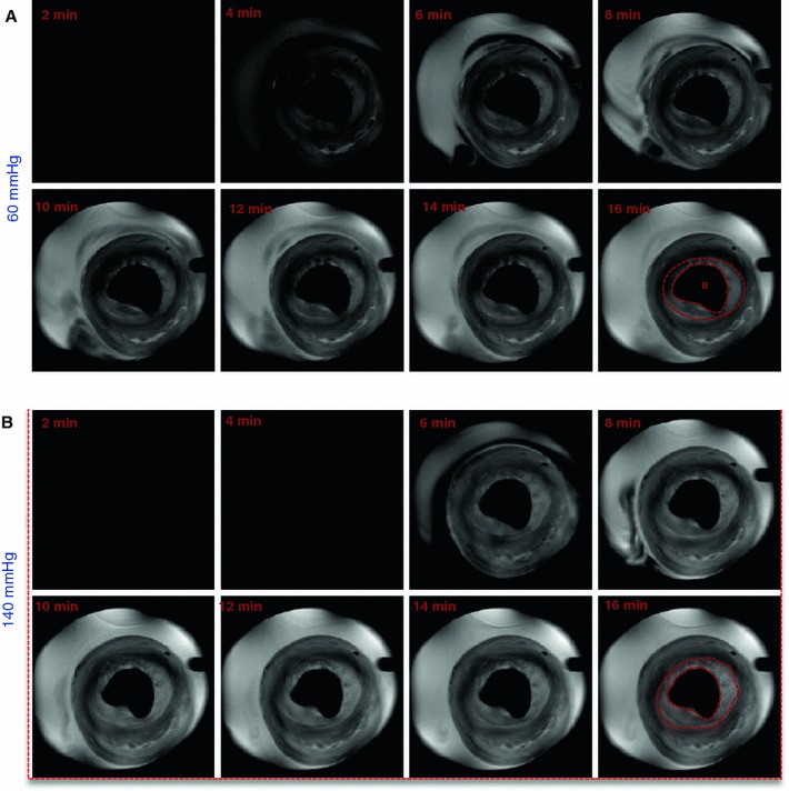 Fig. 6