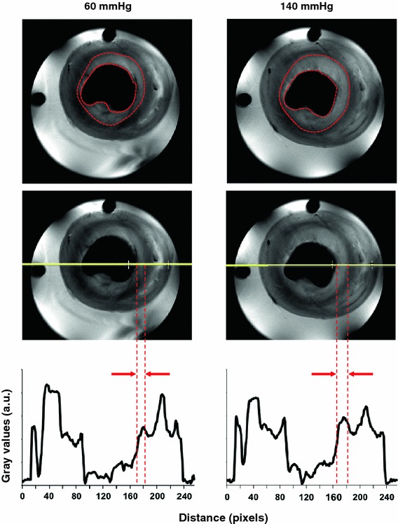 Fig. 7