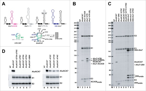 Figure 3.