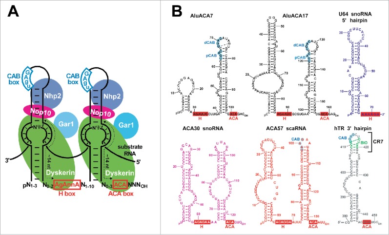 Figure 1.