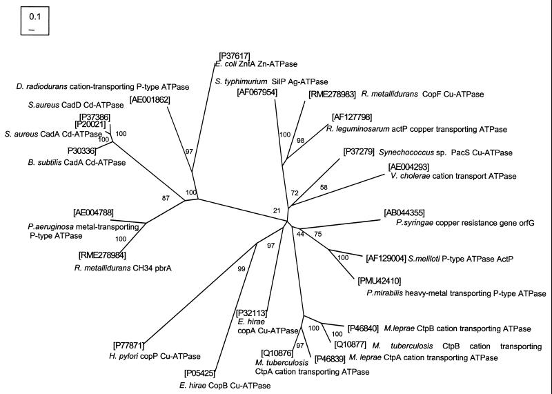 FIG. 4