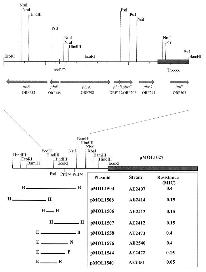 FIG. 1