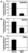 FIG. 2.