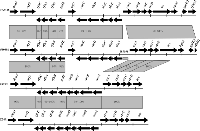 FIG. 2.