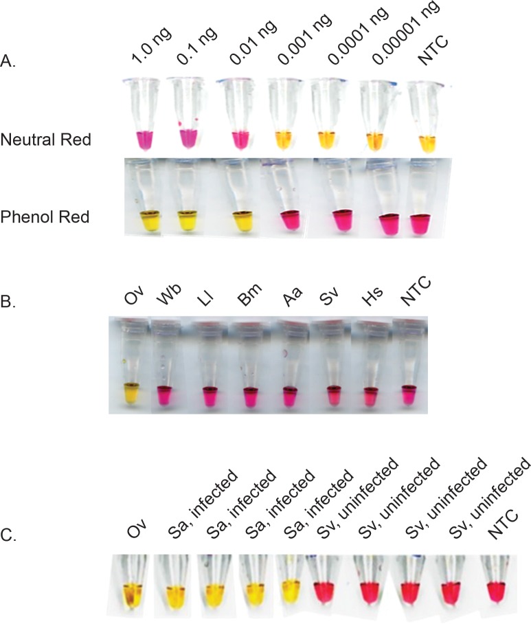 Fig 4