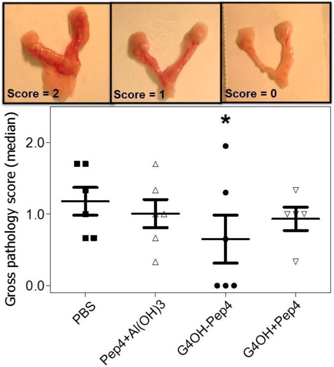 Fig. 4