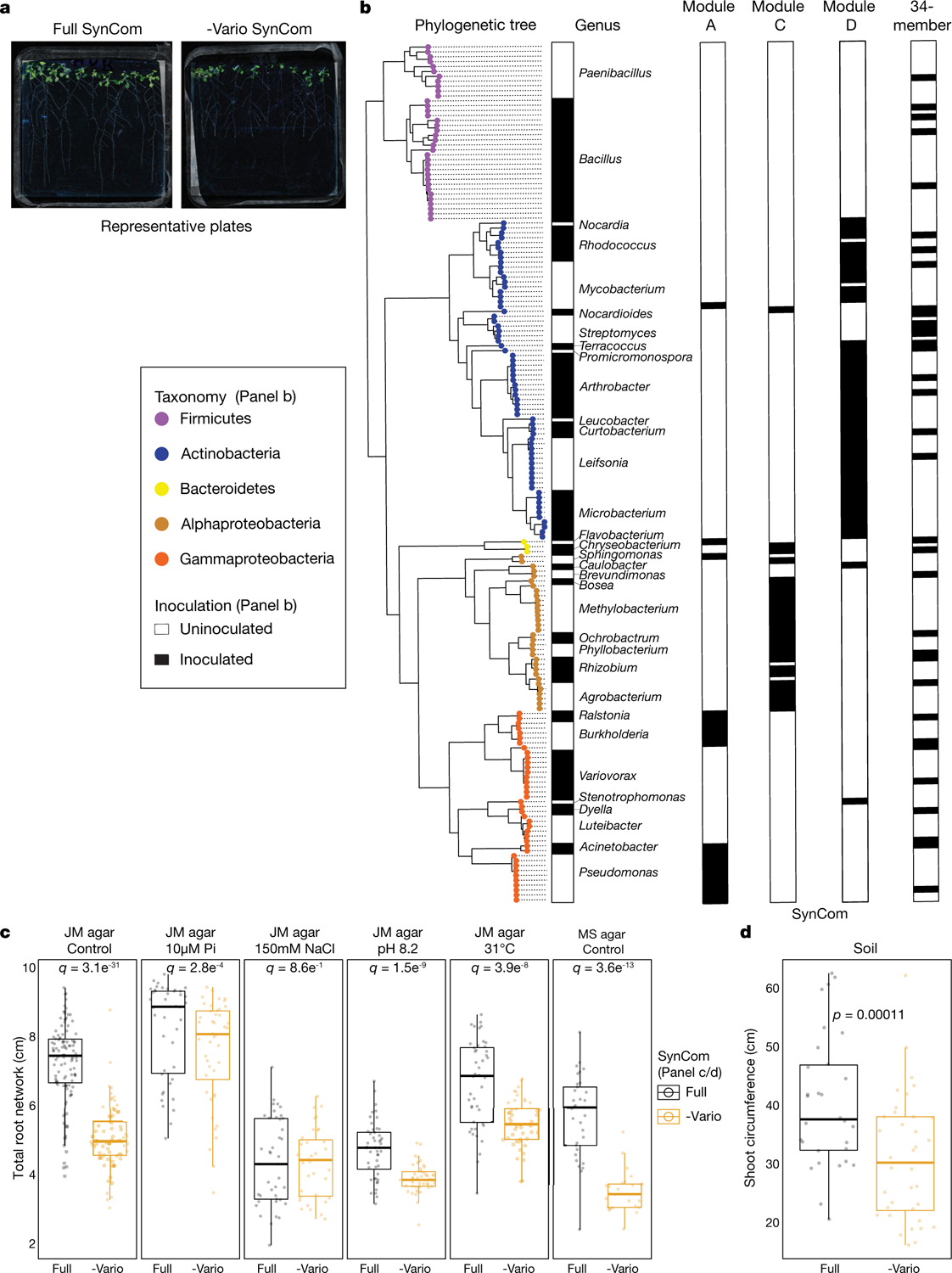 Extended Data Fig. 4 |