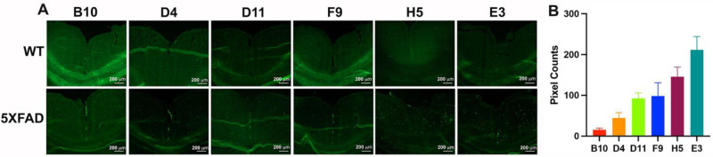 Figure 4.