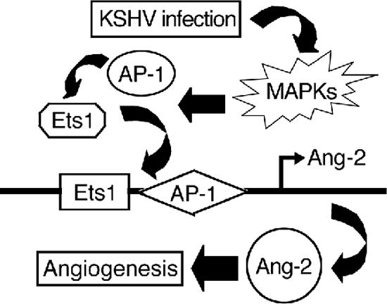 FIG. 7.