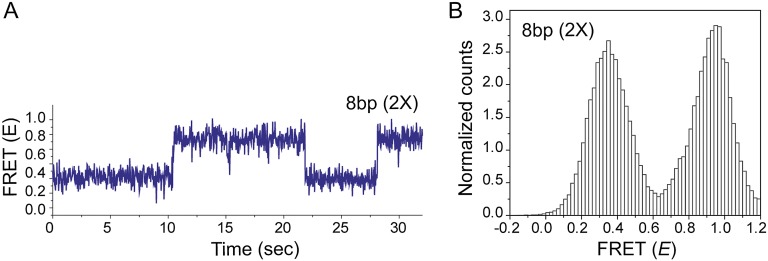 Figure 4—figure supplement 2.