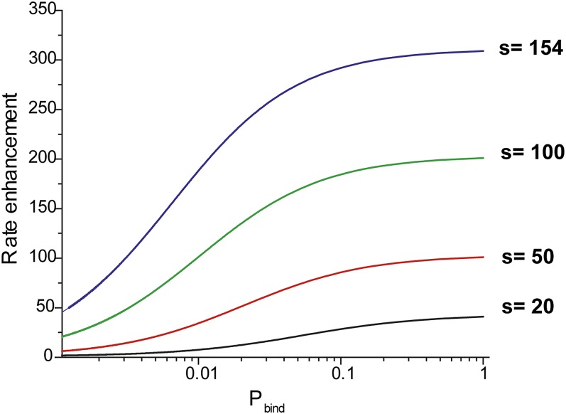 Figure 4—figure supplement 3.