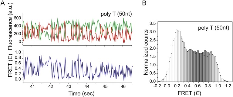 Figure 4—figure supplement 1.