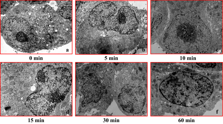 Fig. 12