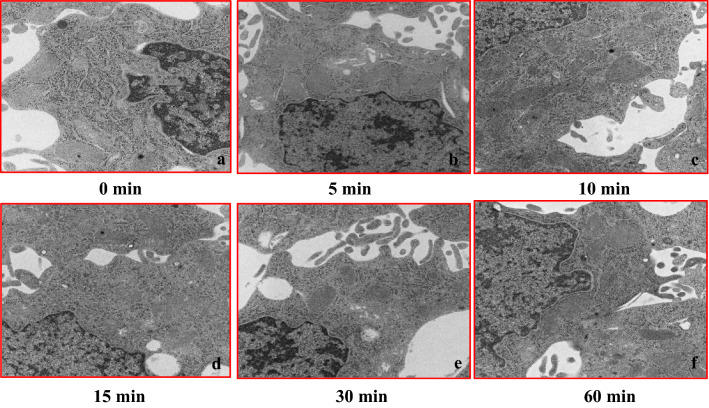 Fig. 13