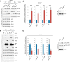 FIGURE 13.